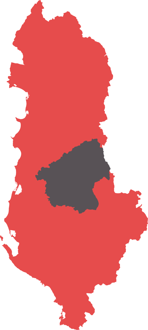 Elbasan location on Albania map